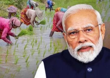 മൂന്ന് സംസ്ഥാനങ്ങളിലെ കർഷകർക്ക് ദീപാവലി സമ്മാനവുമായി മോദി സർക്കാർ ; 540 കോടി രൂപ അനുവദിച്ചു