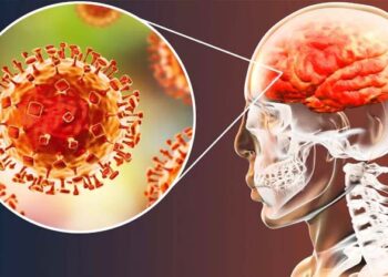 സംസ്ഥാനത്ത് അമീബിക് മസ്തിഷ്‌ക ജ്വരം ബാധിച്ച് മരിച്ചവർ 17 പേർ; കണക്കുകളിൽ വ്യക്തത വരുത്തി ആരോഗ്യവകുപ്പ്