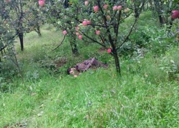 വെട്ടിയിട്ട വാഴത്തണ്ട് പോലെ കിടക്കുന്ന കിടപ്പ് കണ്ടോ ; പഹൽഗാം ആക്രമണത്തിൽ ഉൾപ്പെട്ട ഒരു ഭീകരനെ കൂടി കൊന്ന് ഇന്ത്യൻ സൈന്യം ; കൂടുതൽ ചിത്രങ്ങൾ പുറത്ത്