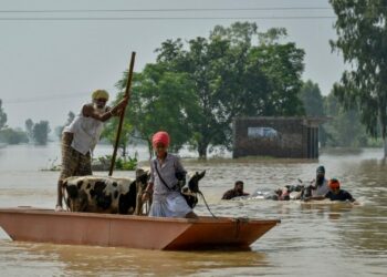 വെള്ളത്തിൽ മുങ്ങി പഞ്ചാബ്; ലുധിയാനയുടെ നിയന്ത്രണം ഏറ്റെടുത്ത് സൈന്യം ; മരണസംഖ്യ 43 കടന്നു