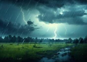 മഴയും മിന്നലും വരുന്നൂ ; കേരളത്തിൽ അടുത്ത 5 ദിവസം മഴയ്ക്ക് സാധ്യത ; 10 ജില്ലകൾക്ക് മുന്നറിയിപ്പ്