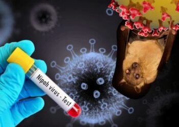 നിപ പ്രതിരോധ മരുന്നുകൾ ഇനി ഇന്ത്യയിൽ തന്നെ നിർമ്മിക്കും ; മോണോക്ലോണൽ ആന്റിബോഡികൾ നിർമ്മിക്കുക ഐസിഎംആർ