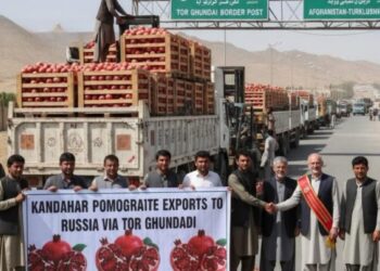 പാകിസ്താന് തലവേദന സൃഷ്ടിച്ച് താലിബാനുമായുള്ള ബന്ധം ശക്തമാക്കി റഷ്യയും ; 30 വർഷങ്ങൾക്ക് ശേഷം റഷ്യയിലെത്തി അഫ്ഗാനിസ്ഥാൻ വ്യാപാര ട്രക്കുകൾ