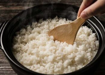 ചോറ് ഇഷ്ടമല്ല പക്ഷേ തടിക്കണം… ഇവ ഭക്ഷണത്തിൽ ഉൾപ്പെടുത്തി നോക്കൂ.. മാസങ്ങൾ മതി ശരീരഭാരം വർദ്ധിക്കാൻ