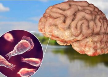 കൊച്ചിയിലും അമീബിക് മസ്തിഷ്കജ്വരം ; രോഗബാധ കണ്ടെത്തിയത് ലക്ഷദ്വീപ് സ്വദേശിയിൽ ; ഈ വർഷം ഇതുവരെ രോഗം ബാധിച്ചത് 129 പേർക്ക്