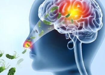 ഒരു ജീവൻ കൂടി കവർന്ന് അമീബിക് മസ്തിഷ്കജ്വരം ; ഒരുമാസമായി ചികിത്സയിൽ കഴിഞ്ഞിരുന്ന ആറ്റിങ്ങൽ സ്വദേശി മരിച്ചു