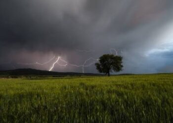 വീണ്ടും മഴ വരുന്നു ; പുതിയ ന്യൂനമർദ്ദം രൂപപ്പെട്ടു ; കേരളത്തിൽ രണ്ടുദിവസം ഇടിമിന്നലോട് കൂടിയ മഴക്ക് സാധ്യത
