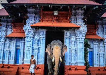 തൃപ്പൂണിത്തുറ പൂർണ്ണത്രയീശ ക്ഷേത്രം ഉത്സവത്തിൽ കടുത്ത ആചാരലംഘനം നടന്നതായി പരാതി