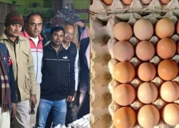 മുട്ടയിലും പണി! ; വ്യാജ മുട്ട നിർമ്മാണ ഫാക്ടറി പൂട്ടിച്ച് യുപി ഭക്ഷ്യസുരക്ഷാ വകുപ്പ്