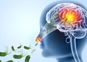 അവനവൻ്റെ കാര്യം അവനവൻ നോക്കുകയല്ലാതെ കേരളത്തിലിന്ന് ഒന്നും പ്രതീക്ഷിക്കണ്ട;അമീബിക് മസ്തിഷ്കജ്വരം വില്ലനാകുമ്പോൾ;കുറിപ്പ് ചർച്ചയാവുന്നു