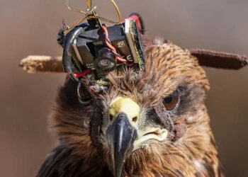 അർജുൻ,ശത്രു ഡ്രോണുകളുടെ അന്തകൻ  : ഇന്ത്യൻ പ്രതിരോധനിരയിലെ പുതിയ താരം