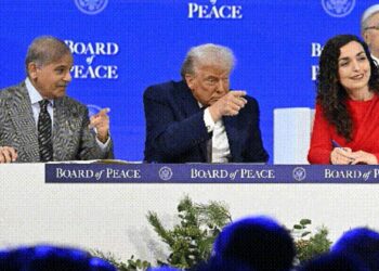 യുഎന്നിനെ വെല്ലുവിളിക്കാൻ ട്രംപിന്റെ ‘ബോർഡ് ഓഫ് പീസ്’; വിട്ടുനിന്ന് ഇന്ത്യ, വാലാട്ടി പാകിസ്താൻ; ആഗോള രാഷ്ട്രീയത്തിൽ പുതിയ പോർമുഖം