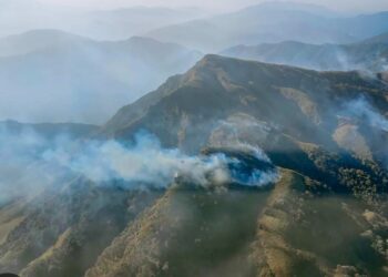 നാഗാലാൻഡിൽ കാട്ടുതീ പടരുന്നു ; മണിപ്പൂരിലേക്ക് നീങ്ങുന്നതായി റിപ്പോർട്ട് ; അട്ടിമറിയെന്ന് സംശയം