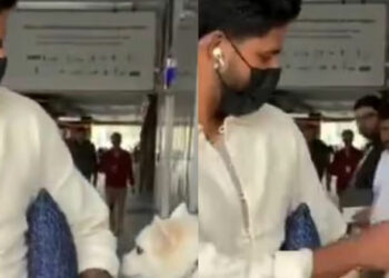 നായയെ തൊടാൻ പോയി, കടിയേൽക്കാതെ കഷ്ടിച്ച് രക്ഷപ്പെട്ട് ശ്രേയസ് അയ്യർ; എയർപോർട്ടിൽ സംഭവിച്ചത്; വീഡിയോ കാണാം