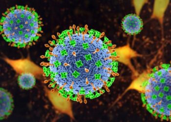 പശ്ചിമ ബംഗാളിൽ നിപ ; 2 പേർക്ക് രോഗബാധ സ്ഥിരീകരിച്ചു ; ജാഗതാ നിർദേശം