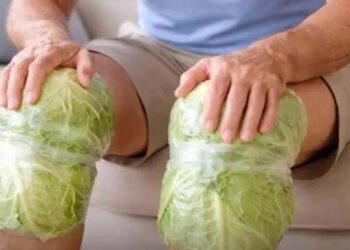 മുട്ടുവേദന മാറ്റാൻ ക്യാബേജ് ഇല മതിയോ? സോഷ്യൽ മീഡിയയിലെ പുതിയ ‘ട്രെൻഡിന്’ പിന്നിലെ വാസ്തവം എന്ത്? മുന്നറിയിപ്പുമായി ആരോഗ്യ വിദഗ്ധർ!