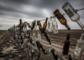 അതിർത്തിയിലെ വേലിയിൽ എന്തിനാണ് ഈ ചില്ലുകുപ്പികൾ? പാകിസ്താൻ്റെ മുനയൊടിക്കുന്ന ബിഎസ്എഫിന്റെ ‘നാടൻ’ ബുദ്ധി