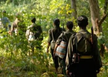 ബിജാപൂരിൽ 12 കമ്മ്യൂണിസ്റ്റ് ഭീകരർ കൂടി കീഴടങ്ങി ; ഇനാം പ്രഖ്യാപിച്ചിരുന്നത് 46 ലക്ഷം രൂപ