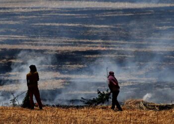 1807 കർഷകരുടെ സബ്സിഡിയും ആനുകൂല്യങ്ങളും തടഞ്ഞു ; വൈക്കോൽ കത്തിക്കലിനെതിരെ നിർണായക നടപടിയുമായി ബീഹാർ സർക്കാർ