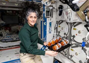 സുനിത വില്യംസിന്റെ ദുരിതയാത്ര; നാസയുടേത് വൻ വീഴ്ചയെന്ന് റിപ്പോർട്ട്! കൽപ്പന ചൗളയുടെ ദുരന്തത്തിന് തുല്യം; ‘ടൈപ്പ് എ’ ദുരന്തമെന്ന് ഔദ്യോഗിക സ്ഥിരീകരണം