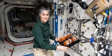 സുനിത വില്യംസിന്റെ  ദുരിതയാത്ര; നാസയുടേത് വൻ വീഴ്ചയെന്ന് റിപ്പോർട്ട്! കൽപ്പന ചൗളയുടെ ദുരന്തത്തിന് തുല്യം;  ‘ടൈപ്പ് എ’ ദുരന്തമെന്ന് ഔദ്യോഗിക സ്ഥിരീകരണം