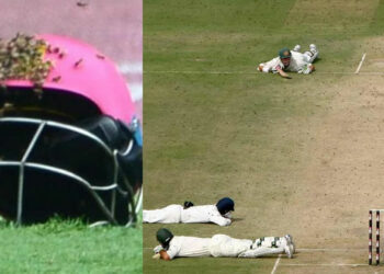 ക്രിക്കറ്റ് ലോകത്തെ നടുക്കിയ ദുരന്തം; തേനീച്ചയുടെ കുത്തേറ്റു വീണ അമ്പയർ വിടവാങ്ങി