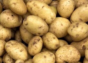 നീ വെറുമൊരു ഉരുളക്കിഴങ്ങാണ്”;അധിക്ഷേപിച്ച ബോസിന് കിട്ടിയത് എട്ടിന്റെ പണി! 29 ലക്ഷം രൂപ നഷ്ടപരിഹാരം നൽകാൻ കോടതി വിധി