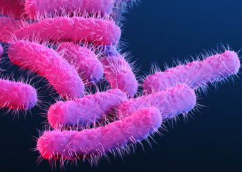 കോഴിക്കോട് ഷിഗല്ല രോഗവ്യാപനം ; 51പേര്‍ രോഗലക്ഷണങ്ങളുമായി നിരീക്ഷണത്തിൽ ; ഉറവിടം കണ്ടെത്താനാകാതെ ആരോഗ്യവകുപ്പ്