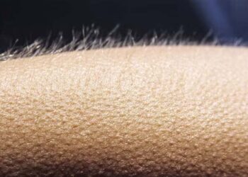 രോമാഞ്ചം ഒരു ‘ഗോസ്റ്റ് സിഗ്നൽ’! നമ്മുടെ പൂർവ്വികർക്ക് ലഭിച്ച ആ കഴിവ്! രോമാഞ്ചത്തിന് പിന്നിലെ അമ്പരപ്പിക്കും ശാസ്ത്രം