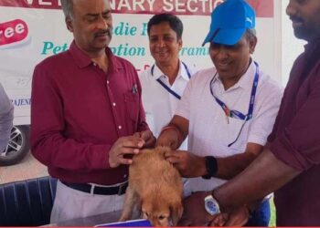 നാടൻ നായ്ക്കളെ ദത്തെടുക്കാം, സ്നേഹത്തോടെ വളർത്താം; വാക്സിനേഷനും വന്ധ്യംകരണവുമായി നഗരസഭയുടെ മാതൃകാപരമായ നീക്കം