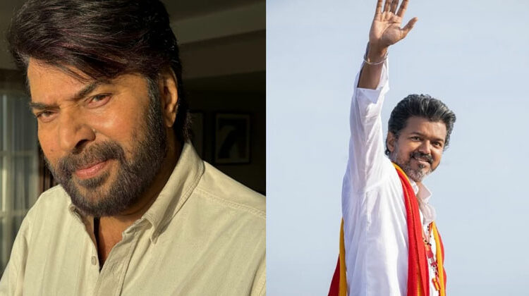 ഒന്നുമേ തെരിയാത്, ആളെ വിടുങ്കോ; വിജയ്‌യുടെ രാഷ്ട്രീയത്തെക്കുറിച്ച് ചോദ്യം; തകർപ്പൻ മറുപടിയുമായി മമ്മൂട്ടി