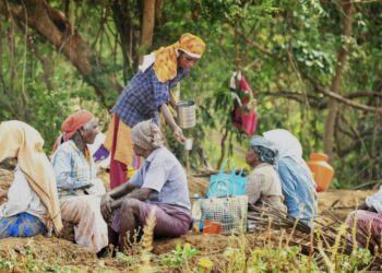 തൊഴിലുറപ്പിൽ വൻ അഴിച്ചുപണി: ഇനി ‘വിബി ജി റാംജി’, കൂലി കൂടും, കള്ളക്കളി നടക്കില്ല! ജിപിഎസ് നിരീക്ഷണം വരുന്നു