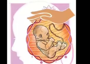 മൂന്നാമത്തെ പ്രസവത്തിന് പ്രസവാവധി 12 ആഴ്ചയായി കുറച്ച  സർക്കാർ ഉത്തരവ്  ഹൈക്കോടതി റദ്ദാക്കി