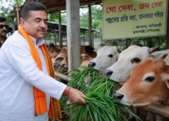 ‘പശു ബലി ഇസ്ലാം മതത്തിലെ ഒഴിച്ചുകൂടാനാകാത്ത ആചാരമല്ല’ ; ഈദിന് കന്നുകാലി കശാപ്പ് നിയന്ത്രണങ്ങൾ ഏർപ്പെടുത്തിയ ഉത്തരവ് ശരിവെച്ച് കൊൽക്കത്ത ഹൈക്കോടതി