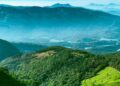 കൊളുക്കുമലയിൽ വൻ ഭൂമി പിടിച്ചെടുക്കൽ; ഹാരിസൺ മലയാളം കമ്പനിയുടെ നൂറേക്കർ വനംവകുപ്പ് ഏറ്റെടുത്തു, ടെന്റ് ക്യാമ്പിങ് ഒഴിപ്പിച്ചു