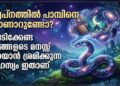 സ്വപ്നത്തിൽ പാമ്പിനെ കാണാറുണ്ടോ? പേടിക്കേണ്ട, നിങ്ങളുടെ മനസ്സ് പറയാൻ ശ്രമിക്കുന്ന രഹസ്യം ഇതാണ്; സ്വപ്നങ്ങളുടെ പൊരുൾ തേടി ശാസ്ത്രലോകം