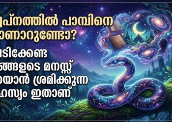 സ്വപ്നത്തിൽ പാമ്പിനെ കാണാറുണ്ടോ? പേടിക്കേണ്ട, നിങ്ങളുടെ മനസ്സ് പറയാൻ ശ്രമിക്കുന്ന രഹസ്യം ഇതാണ്; സ്വപ്നങ്ങളുടെ പൊരുൾ തേടി ശാസ്ത്രലോകം