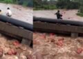 പുഴയിലൂടെ ഒഴുകിനടക്കുന്നത് ആയിരക്കണക്കിന് ഗ്യാസ് സിലിണ്ടറുകളോ! കനത്ത മഴയ്ക്കിടെ നടുക്കുന്ന ദൃശ്യങ്ങൾ; ജീവൻ പണയംവെച്ച് നാട്ടുകാരുടെ ‘സിലിണ്ടർ വേട്ട’