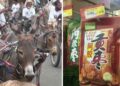 പാകിസ്താൻ കഴുതകൾക്കുണ്ട് വില, ചൈനയുടെ കണ്ണുടക്കി; വിൽപ്പന കുതിച്ചുയരുന്നു