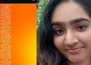 ഒരാളുടെ കൂടെ ഇറങ്ങി വന്നത് ഉപേക്ഷിച്ചു പോകാനല്ല; വിവാദങ്ങളിൽ പ്രതികരണവുമായി അഖിൽ എൻആർഡിയുടെ ഭാര്യ മേഘ