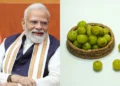 നെല്ലിക്കയുടെ ഗുണങ്ങൾ മോദിയും പറഞ്ഞത് വെറുതേയല്ല! ദിവസവും ഒരെണ്ണം ശീലമാക്കിയാൽ ശരീരത്തിൽ സംഭവിക്കുന്നത് അമ്പരപ്പിക്കുന്ന മാറ്റങ്ങൾ