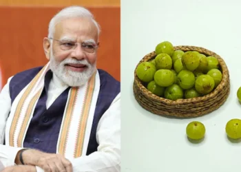 നെല്ലിക്കയുടെ ഗുണങ്ങൾ മോദിയും പറഞ്ഞത് വെറുതേയല്ല! ദിവസവും ഒരെണ്ണം ശീലമാക്കിയാൽ ശരീരത്തിൽ സംഭവിക്കുന്നത് അമ്പരപ്പിക്കുന്ന മാറ്റങ്ങൾ