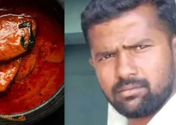 പട്ടയം നൽകാൻ 15,000 രൂപയും മീൻ കറിയും മീൻ വറുത്തതും കൈക്കൂലി’; കൈക്കൂലി ആവശ്യപ്പെട്ട വില്ലേജ് ഓഫീസർ സസ്പെൻഷനിൽ