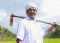 അപൂർവ്വ നെൽവിത്തുകളുടെ കാവൽക്കാരൻ പദ്മശ്രീ ചെറുവയൽ രാമൻ അന്തരിച്ചു!