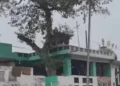 പാകിസ്താനിൽ വീണ്ടും ഹൈന്ദവ ക്ഷേത്രത്തിന് നേരെ ആക്രമണം; വിഗ്രഹങ്ങൾ തകർത്തു, പ്രതിഷേധവുമായി ന്യൂനപക്ഷങ്ങൾ!